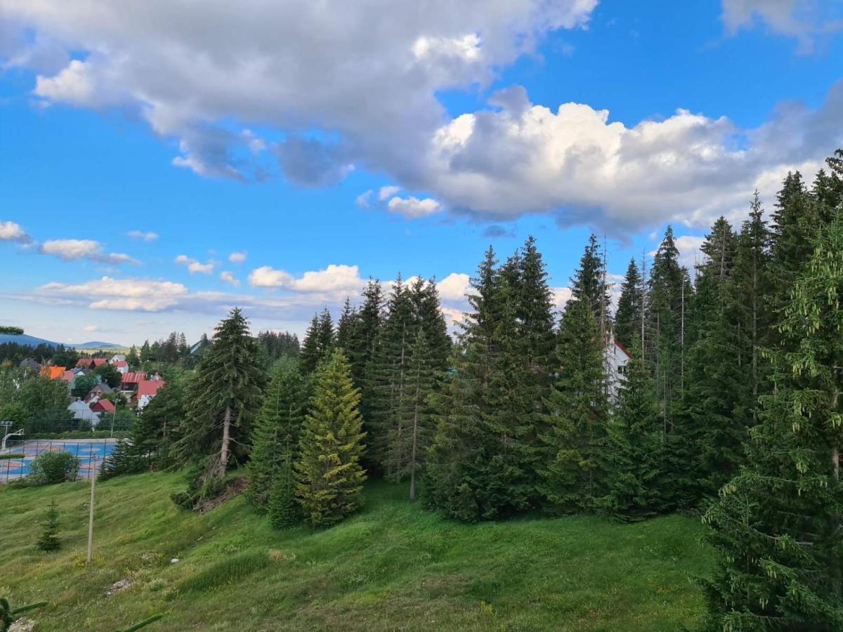 Turisticki Apartmani “Kraljeva Stolica” Žabljak Exteriör bild